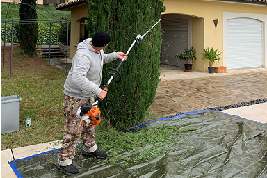 Michelet Rénovation taille haies entretien paysager professionnel